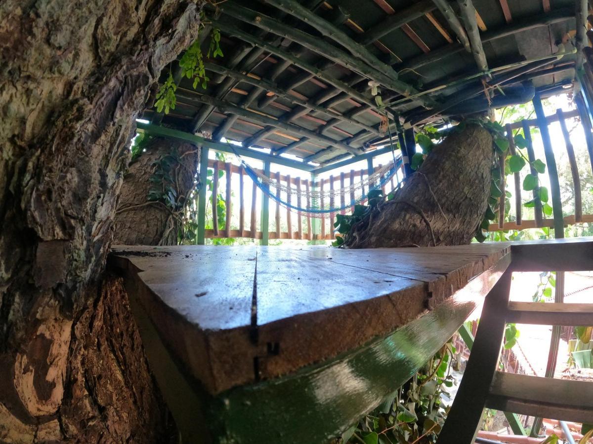 Tree House Samanea Lodge Puerto Limon Exterior foto