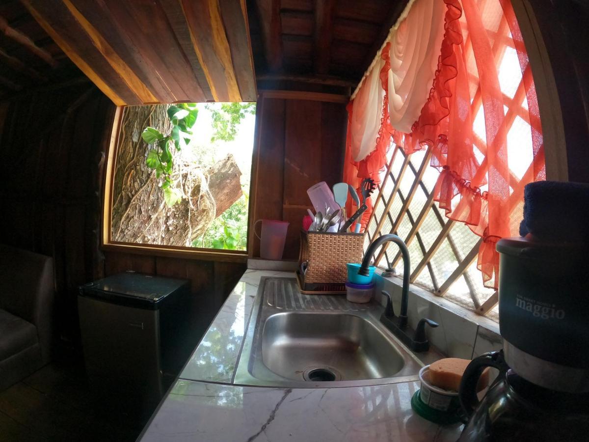 Tree House Samanea Lodge Puerto Limon Exterior foto
