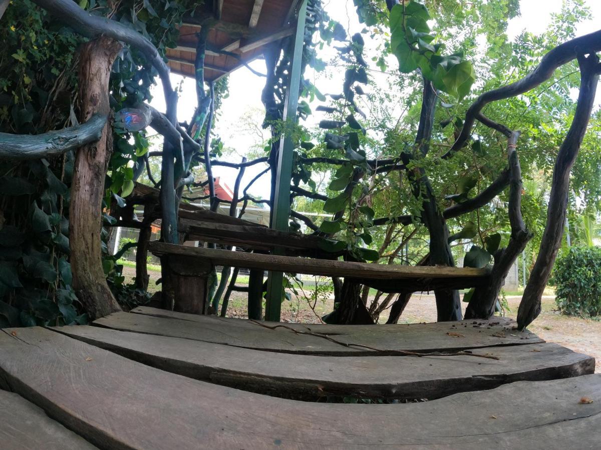 Tree House Samanea Lodge Puerto Limon Exterior foto